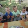 fnykpek 1226